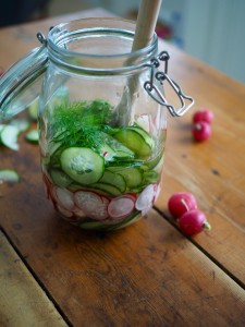 Norwegian Cucumber & Radish Salad