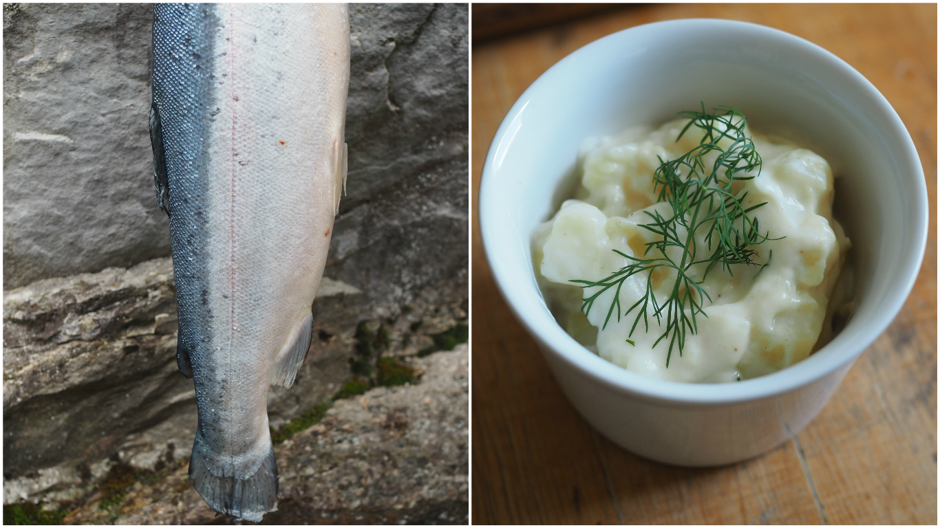 Norwegian gravlax with dill-stewed potatoes and served with a classic mustard sauce (Gravlaks med sennepssaus og dillstuede poteter)