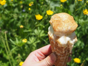 Rømmegrøt Ice Cream - Norwegian Midsummer Treat
