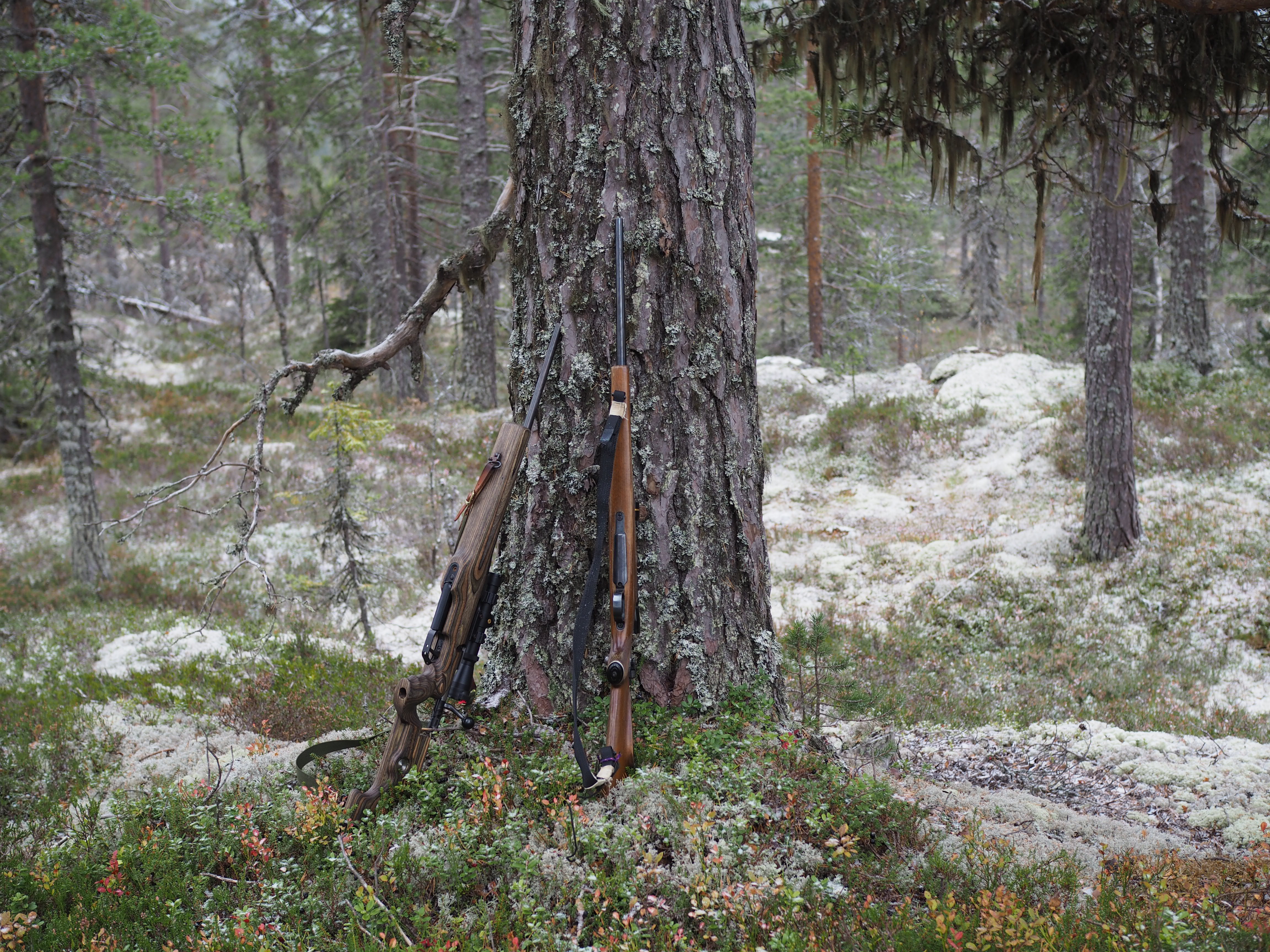 The Norwegian Hunt (Jakten)