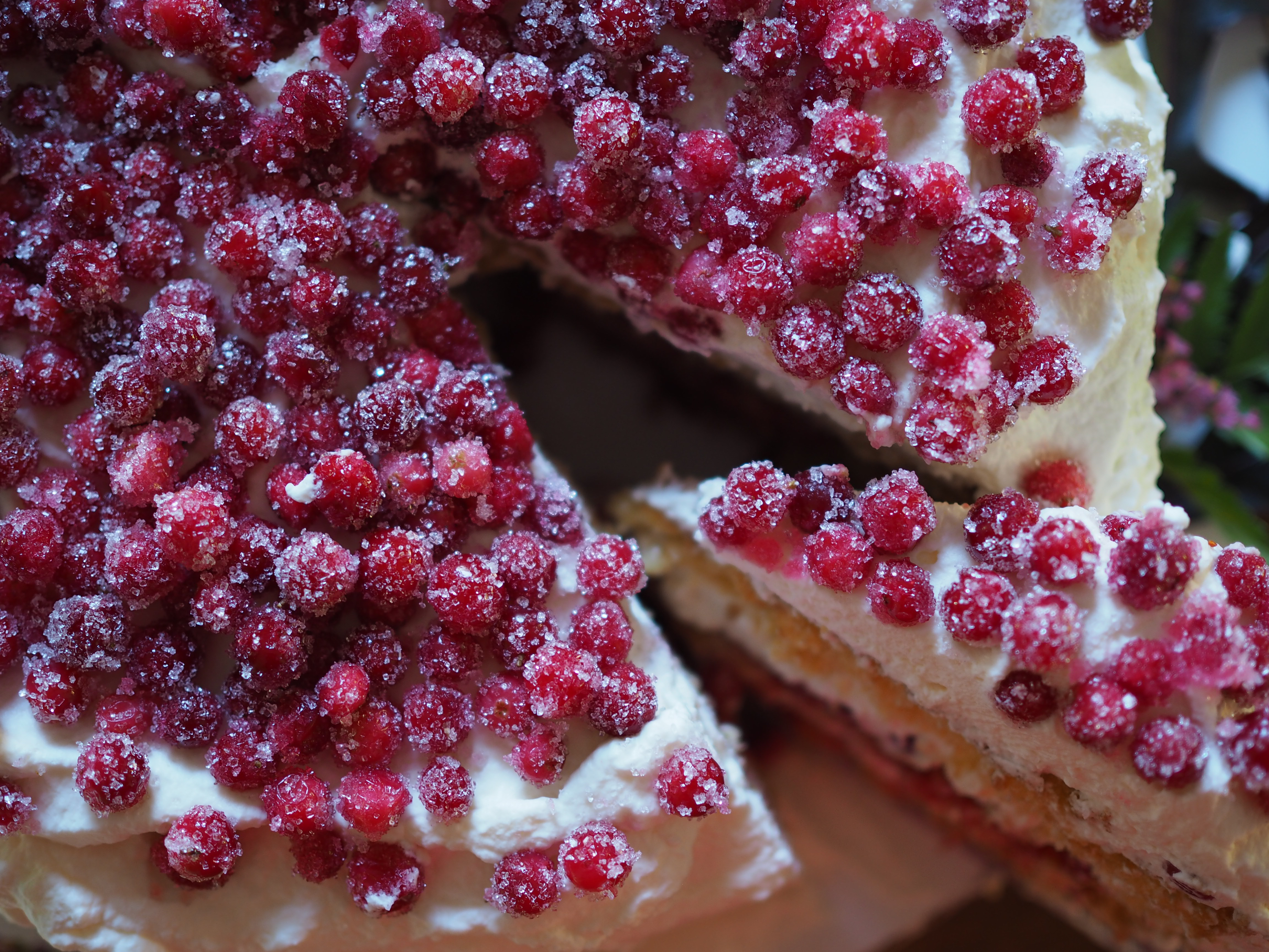 Bløtkake med Tyttebaer (Norwegian Layer Cake with Lingonberries)