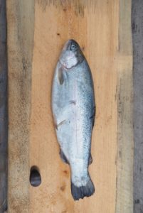 Rakfisk (Norwegian Fermented Fish)
