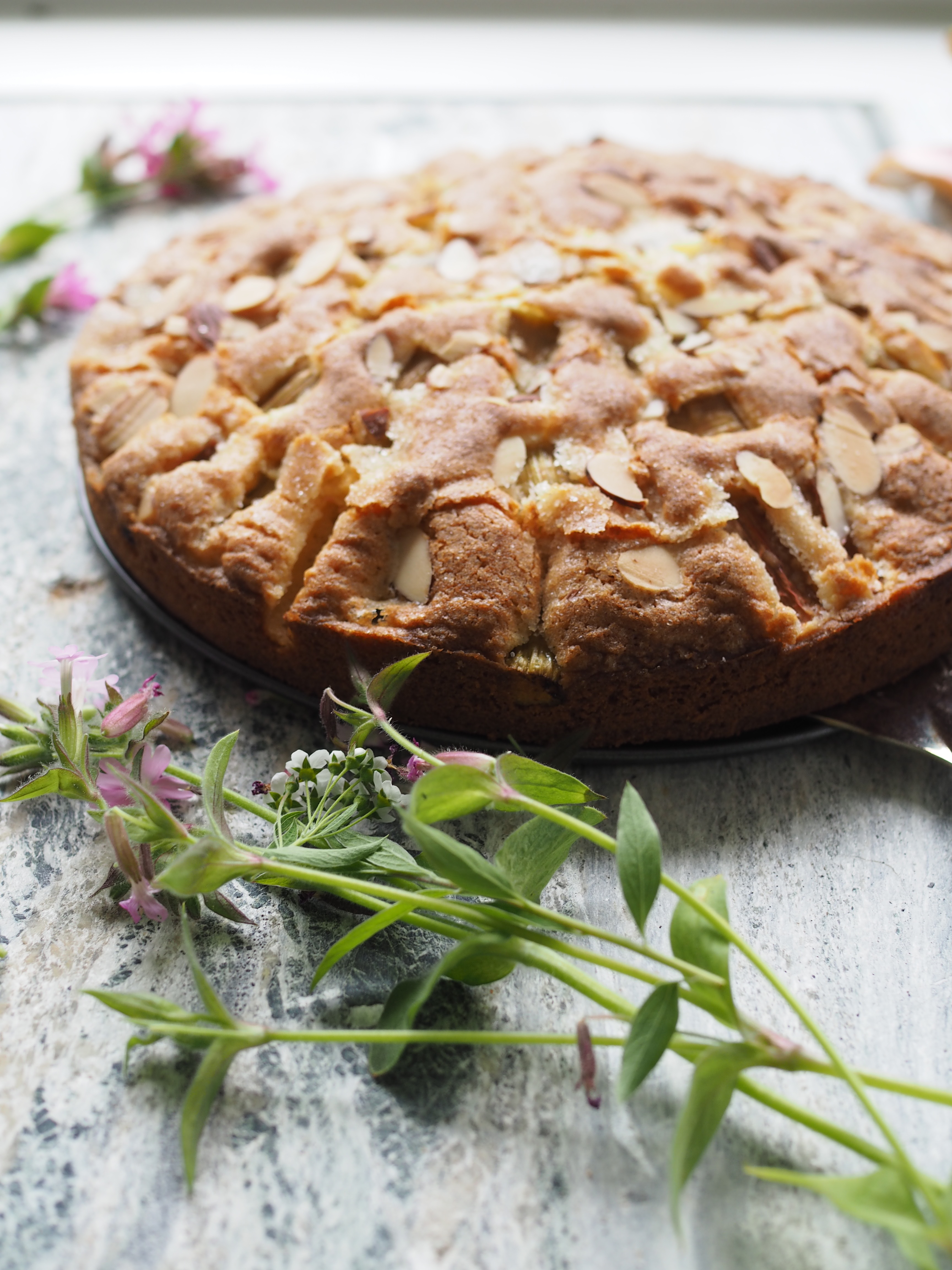 Simple Norwegian Rhubarb Cake (Rabarbrakake)