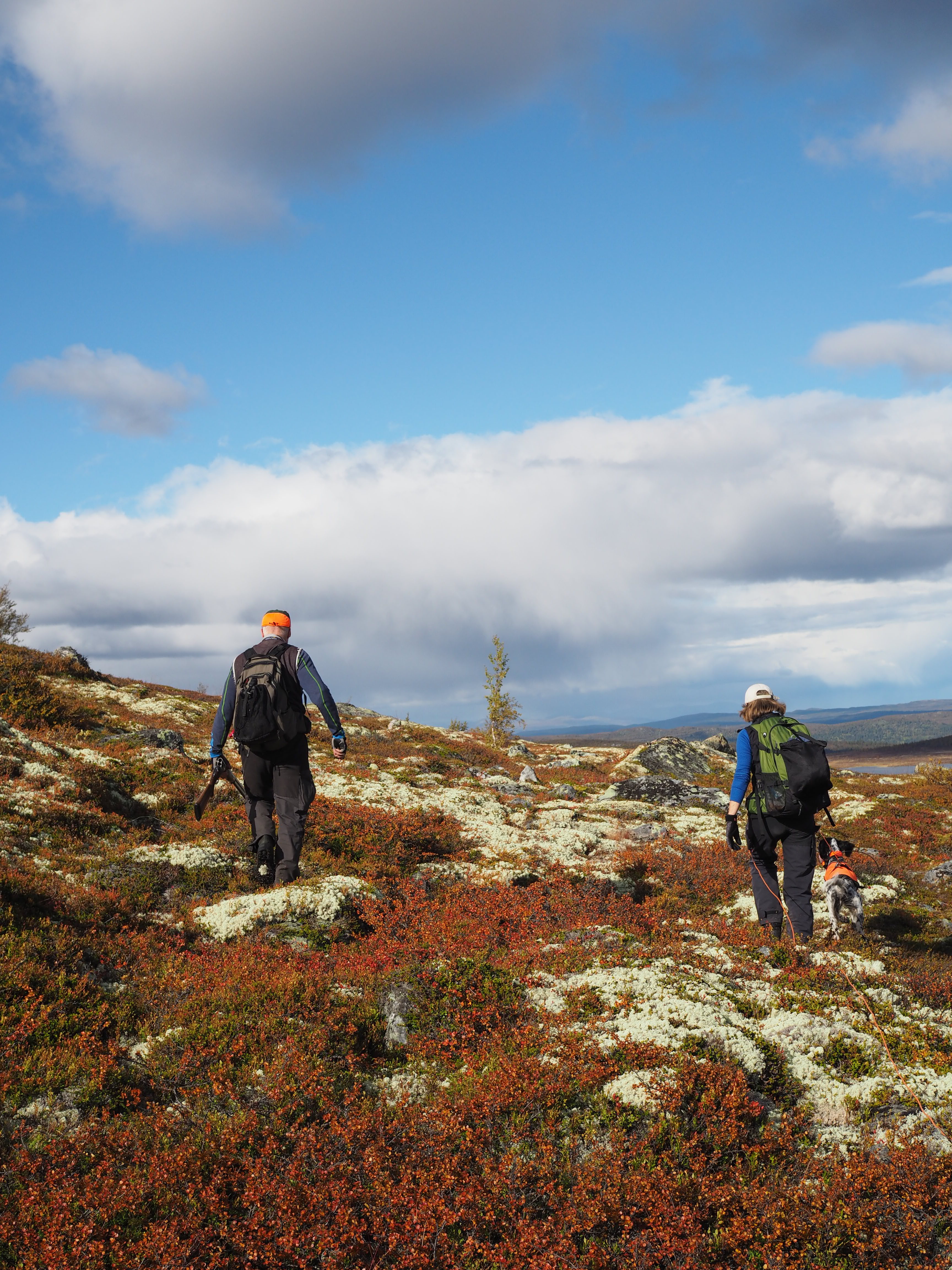 Grouse Hunting in Norway (Rypejakt)