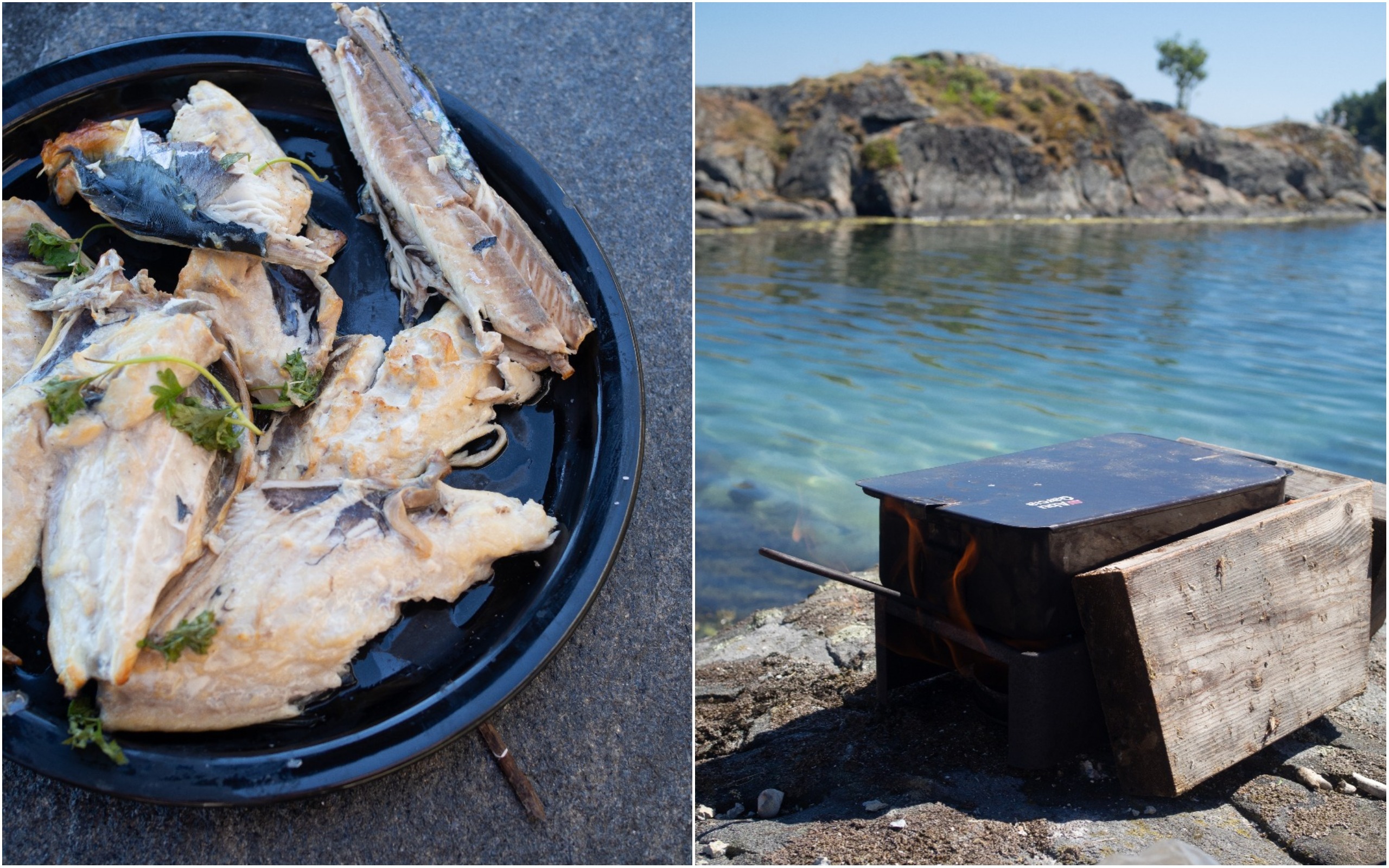 The Southern Coast (Sørlandet) + Salt Water Salmon Steaks