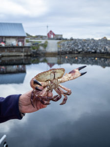 Ona, Norway and Crab Fishing