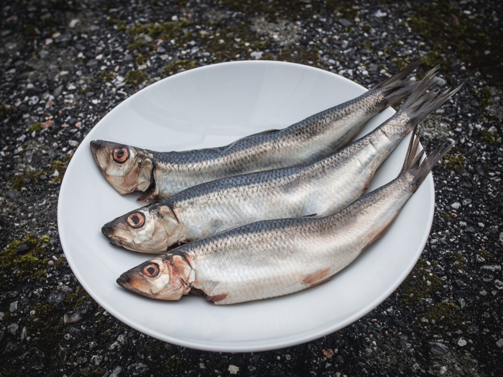 Stories Archives - North Wild Kitchen