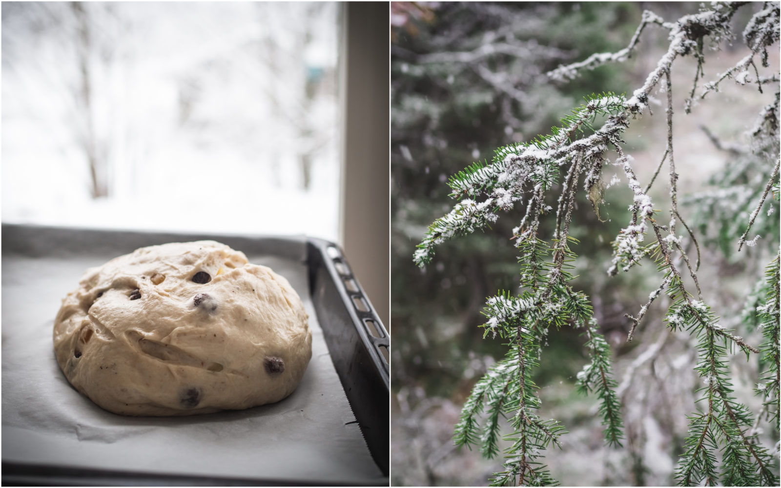 Julekake (Norwegian Christmas Bread) - North Wild Kitchen