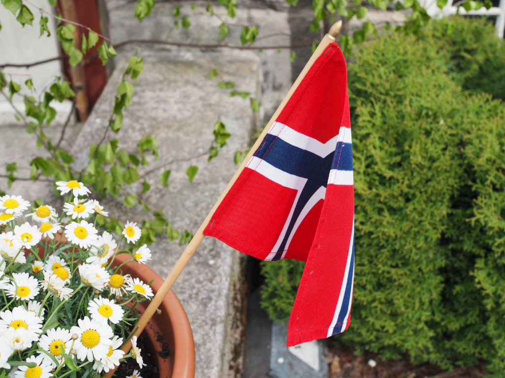 17 Ways to Celebrate Norway's Constitution Day (17 May) at Home