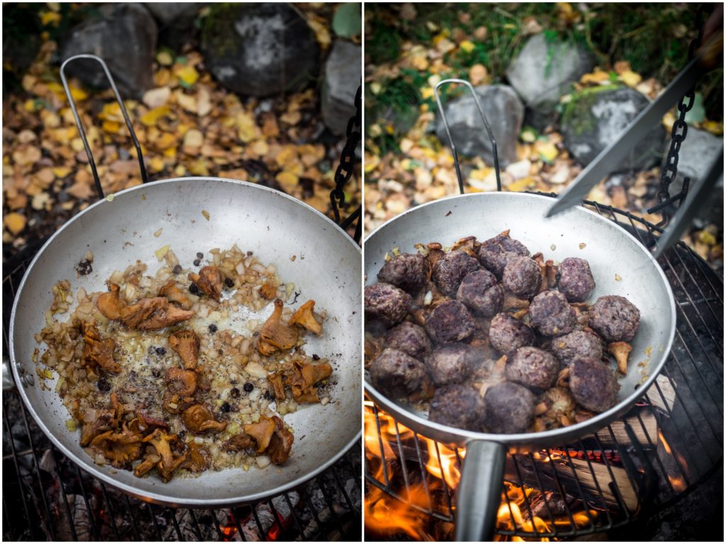 Wild mushrooms and meat