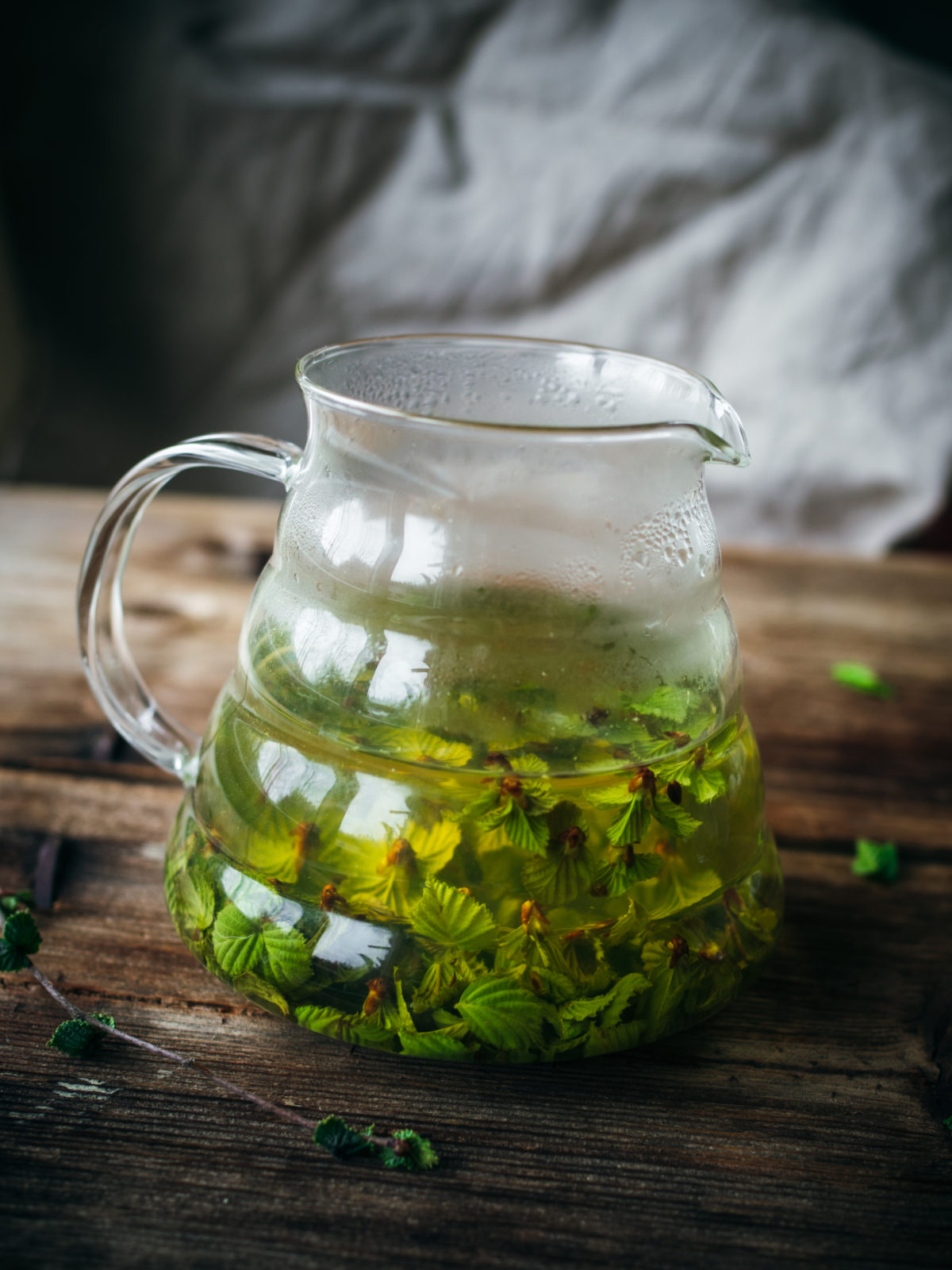 Birch Tea (bjørkete) North Wild Kitchen