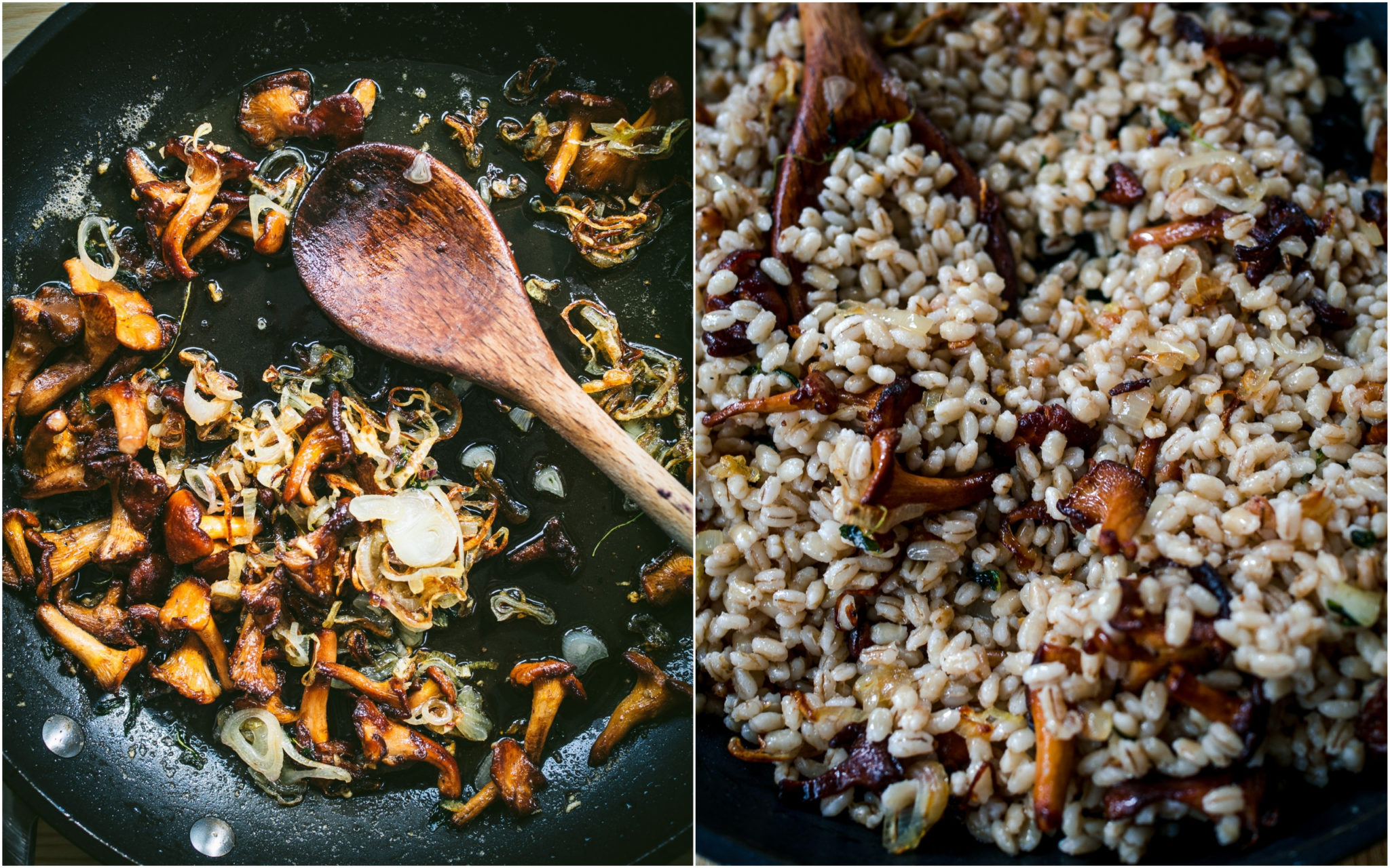 PanSeared Salmon with Buttery Chanterelles & Barley North Wild Kitchen