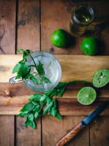 Gin and Soda with Lovage Syrup