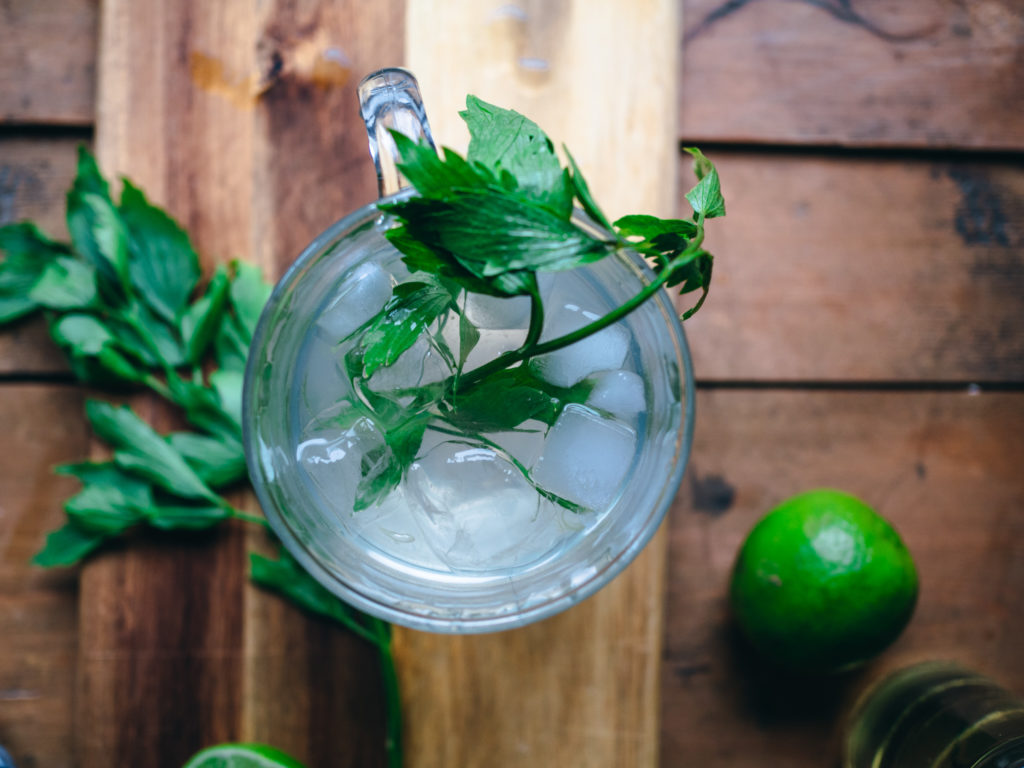 Gin and Soda with Lovage Syrup 