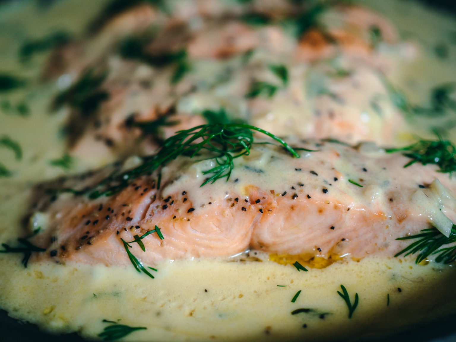 Hard Cider Poached Salmon with a Creamy Dill Sauce - North Wild Kitchen