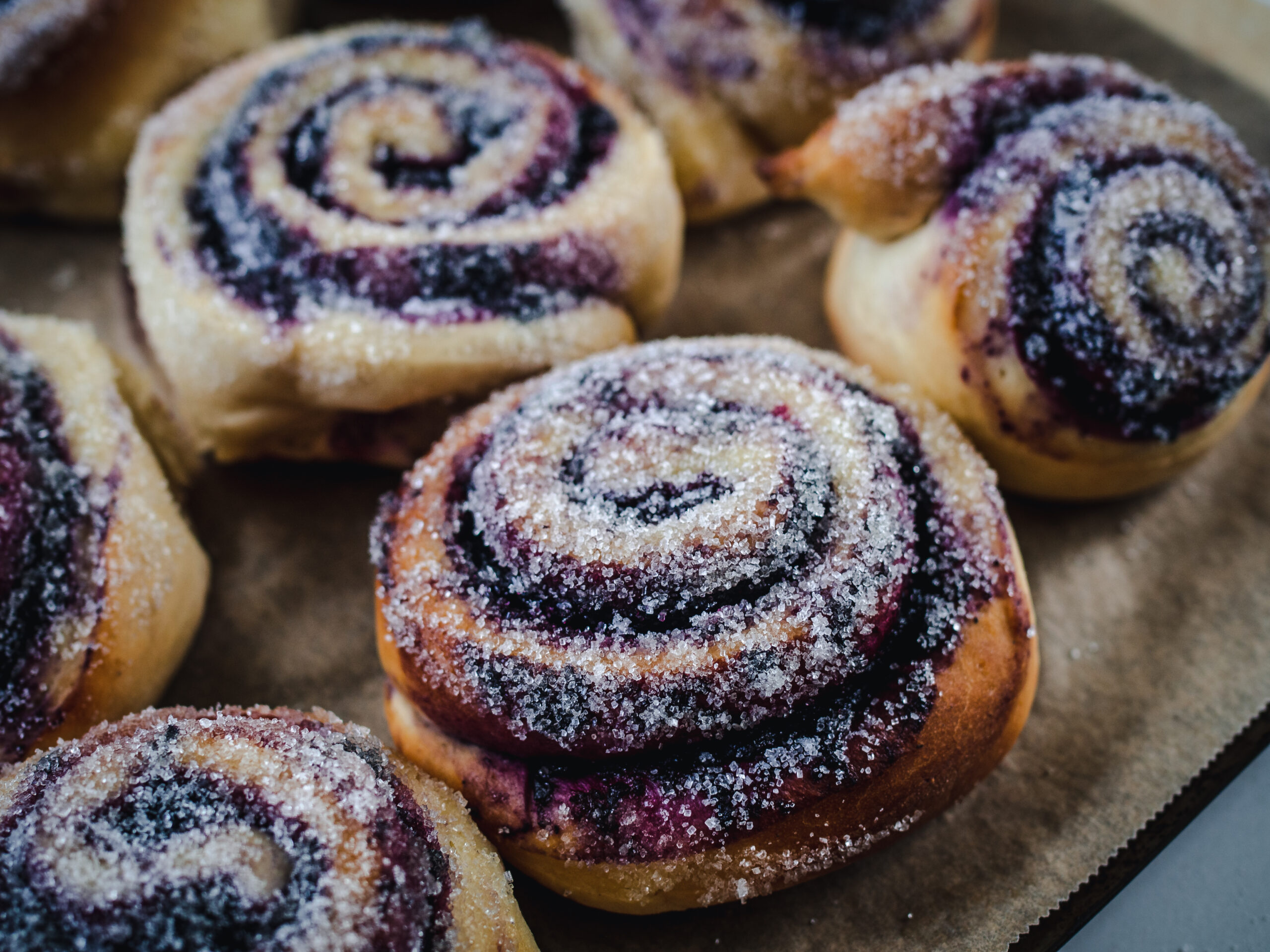 Bilberry ‘Wild Blueberry’ Buns (blåbærboller)