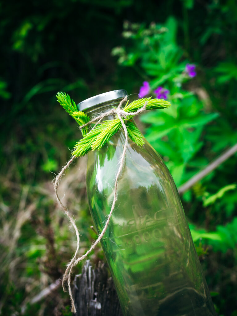 Spruce Tip Cordial (granskuddsaft)